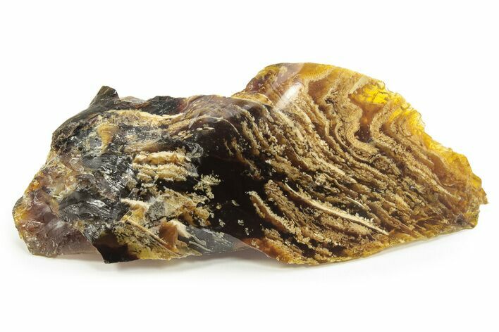 Piece Of Indonesian Amber - Million Years Old #244158